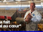 Replay ROBIN DE BFM - Un éleveur doit abattre ses 8.000 poules après une détection de salmonelle
