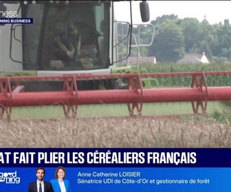 Replay Good Morning Business - Le climat fait plier les céréaliers français
