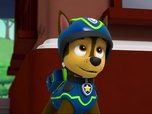 Replay Paw Patrol, la Pat'Patrouille - Trois pingouins dans la ville