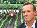 Replay Sénateur en action - Sébastien Pla, la crise viticole