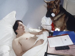 Replay Rex, chien flic - L'attentat