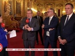 Replay 100% Sénat - Budget 2025 : examen du projet de loi au Sénat