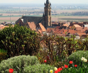 Replay Patrimoines de France - La France en couleurs