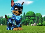 Replay Paw Patrol, la Pat'Patrouille - La Super Patrouille : Le cristal volé