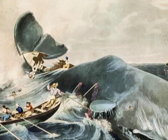 Replay Invitation au voyage - 03/02/2026 - Sur la piste de la baleine basque