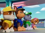 Replay Paw Patrol, la Pat'Patrouille - Helga et les alligators