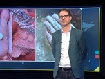 Replay Info ou intox - De l'oxycodone dans de la farine à Gaza ? Que sait-on de cette rumeur ?