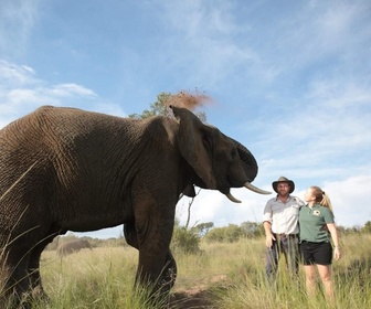 SOS Afrique sauvage replay