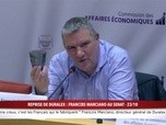 Replay 100% Sénat - Reprise de Duralex : le directeur général auditionné