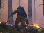 Replay Corse, les maquisards du feu - GEO Reportage