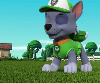 Replay Paw Patrol, la Pat'Patrouille - La ferme en folie