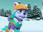 Replay Paw Patrol, la Pat'Patrouille - Panique sur les pistes