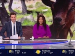 Replay BFM Première prématinale - Focus Régions - 05/06
