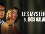 Replay Les mystères du Bois Galant