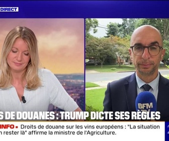 Replay 20H BFM - Droits de douane: Donald Trump dicte ses règles