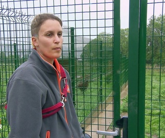 Replay Animaux à adopter - Schumacher et Prosper les craintifs, Aïko et Andy les chatons venus de Martinique