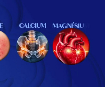 Bel & Bien ensemble replay