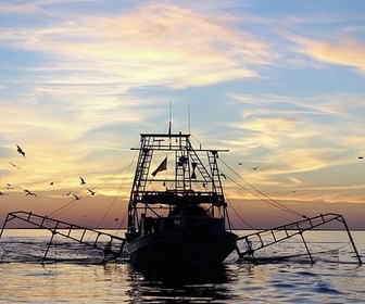 Replay Les derniers pêcheurs de crevettes de Louisiane - GEO Reportage