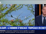 Replay BFM Première prématinale - Le break du 16 septembre