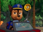 Replay Paw Patrol, la Pat'Patrouille - La catapulte à noix de coco