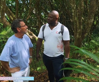 Replay Le mag du samedi - Voyage à... l'île Rodrigues