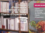 Replay La p'tite librairie - Le Mariage du ciel et de l'enfer - William Blake