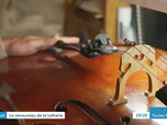 Replay Les dossiers d'ICI - Le nouvel âge d'or de la lutherie