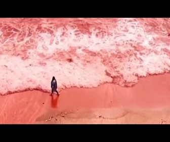 Replay Fortes pluies: la plage de l'île d'Hormuz en Iran vire au rouge foncé