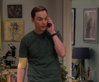 Replay The Big Bang Theory - S11E13 - Un solo pour deux