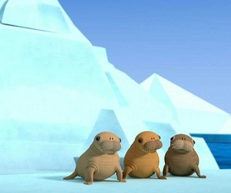 Replay Les Octonauts et les bébés morses