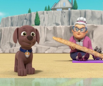 Replay Paw Patrol, la Pat'Patrouille - Leçon de ski nautique