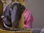 Replay La nouvelle vie de Sarah Beeny à la campagne - S2 E2 - La pièce maîtresse
