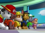 Replay Paw Patrol, la Pat'Patrouille - Le disque volant
