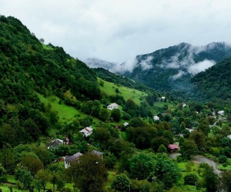 Replay Pourquoi Lankaran devient la région la plus riche de l'Azerbaïdjan en fruits et forêts sauvages