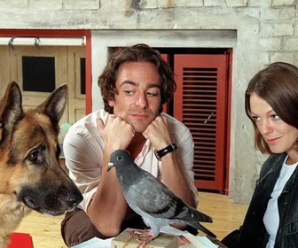 Replay Rex, chien flic - 27/08/2026