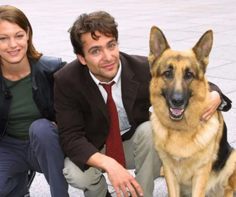 Replay Rex, chien flic - 25/08/2026