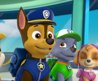 Replay Paw Patrol, la Pat'Patrouille - S03 E31 - La journée de sport