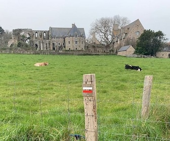 Replay Le sentier des douaniers en Bretagne - Chemins de traverse
