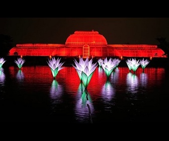 Replay Un million de LED : Kew Gardens dévoile un nouveau parcours lumineux de Noël