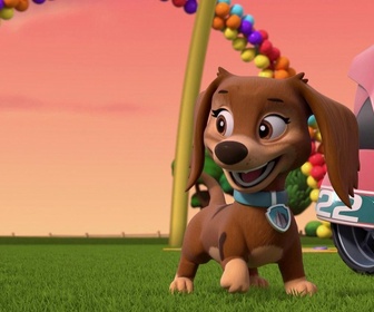 Replay Paw Patrol, la Pat'Patrouille - Les championnes de Pop Pop Boogie
