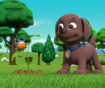 Replay Paw Patrol, la Pat'Patrouille - La Pat' Patrouille sauve la maison de Marjorie