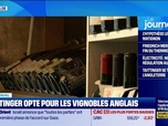 Replay Good Morning Business - Taittinger opte pour les vignobles Anglais