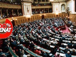 Replay 100% Sénat - Le Sénat rejette la contribution exceptionnelle des grandes entreprises