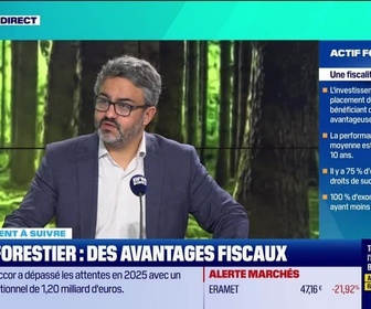 Replay Tout pour investir - Le placement à suivre : Diversification, investir dans les forêts - 19/02