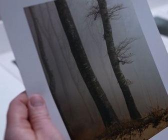 Replay ARTE Journal - Photo : Arno Schidlowski traque la lumière