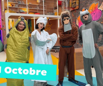 Replay Okoo-koo - 21/10/2026