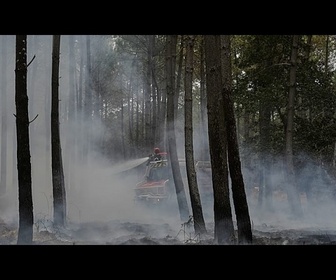 Replay Incendie en Gironde : 70 pompiers ukrainiens déployés pour aider à éteindre le feu