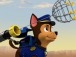 Replay Paw Patrol, la Pat'Patrouille - Les deux Luke Star