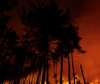 Replay Info éco - Incendies en Gironde : une cellule de crise économique à Bercy