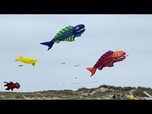 Replay Danemark : sur l'île de Fanø, un festival coloré de cerfs-volants